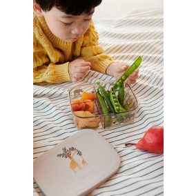 Liewood Arthur Tritan uzsonnás doboz - All together