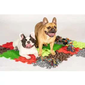 Muffik szett kutyáknak - Set for happy dogs