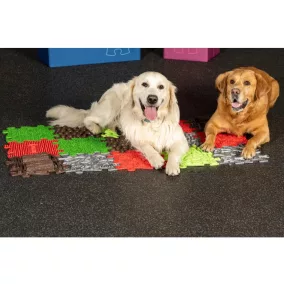 Muffik szett kutyáknak - Set for happy dogs