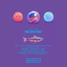   Billes & Co üveggolyó szett - Neon Halak - Kis Doboz - 25 üveggolyó