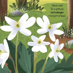 Tipegő figyelő 4. - Erdő
