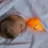 Mary's LED Éjjeli lámpa - Róka