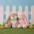 Olli Ella - Binky Nyuszi - Dot