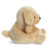 Palm Pals plüss Sunny labrador - 13cm