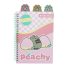 Pusheen Spirálos jegyzetfüzet - Fruits