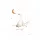 Little Dutch A3 poszter - Little Goose