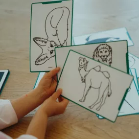   Kidywolf rajzkártya Kidydraw Mini rajztáblához - Állatok és kalózok - Animals & Oceans