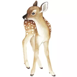 Lilipinso