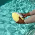 Sunnylife neoprén felfújható rögbi labda - Tides Out Citrus