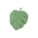 Monstera levél formájú szalvéták - 29 -1 × 36 cm - zöld - 12 db/csomag