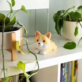 Legami antistressz játék - eper illattal - corgi kutya