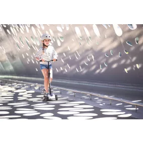 Scoot and Ride Highwaykick 5 LED roller - Ash