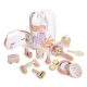 Tender Leaf Toys Spa Élmény Szett