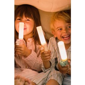 Zoofamily Zoo Friends olvasó és zseblámpa - Dínó