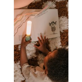 Zoofamily Zoo Friends olvasó és zseblámpa - Dínó