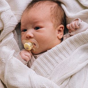 Cumi kifőzése, fertőtlenítése: útmutató