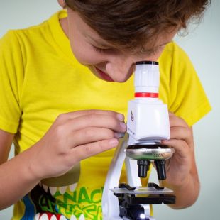 Legjobb gyerek mikroszkóp: 5 szempont a választáshoz