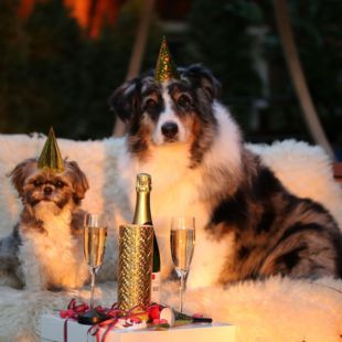 Szilveszter gyerekkel: 15 igazán jó program