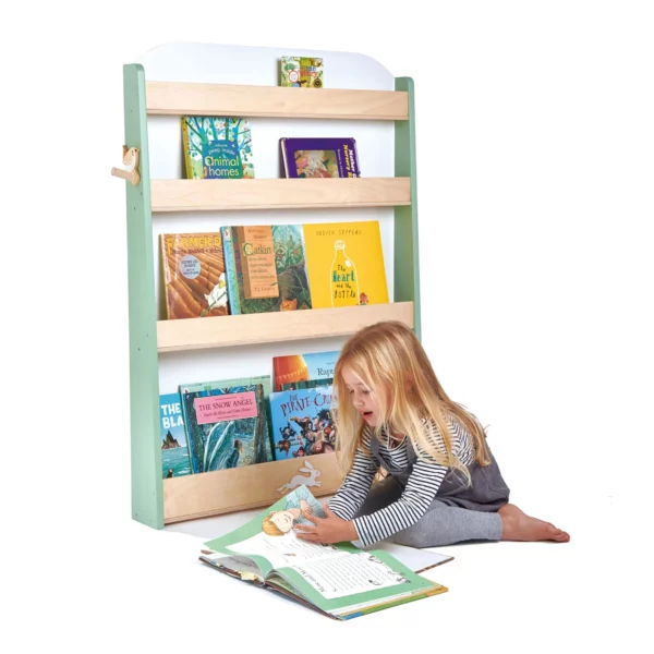 TL8802 forest bookcase 2.jpg
